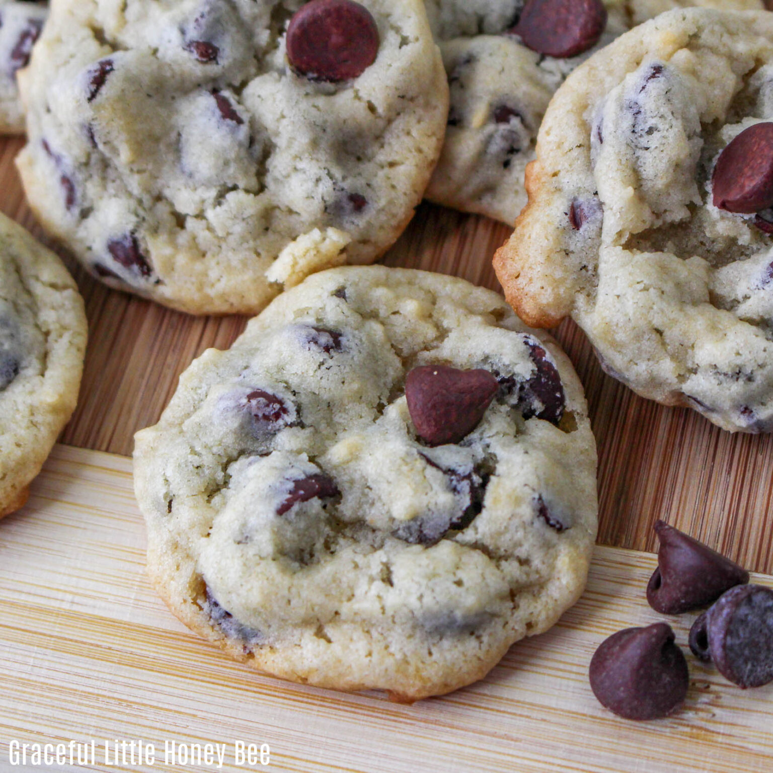 Chocolate Chip Cookies With Yogurt Graceful Little Honey Bee   Chocolate Chip Cookies Square 1536x1536 