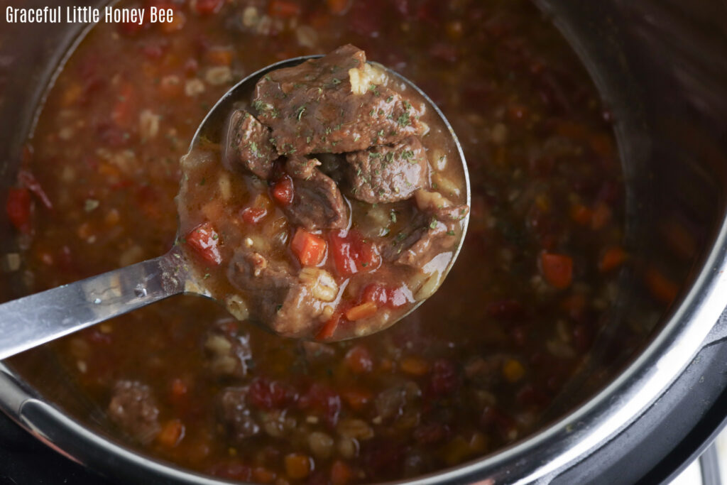 Ladle of hearty beef stew.