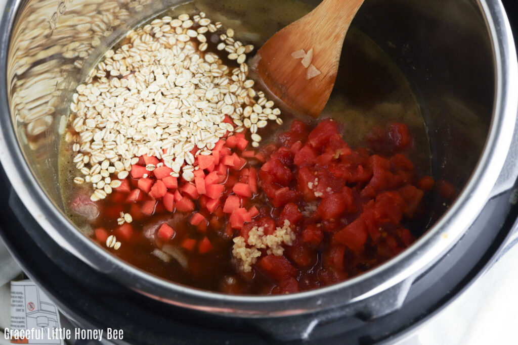 All ingredients in Instant Pot before being cooked.